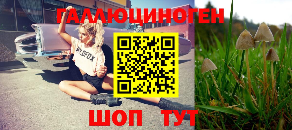 Псилоцибиновые грибы Magic Shrooms Луховицы
